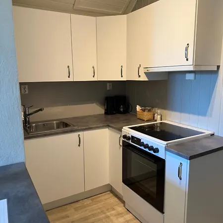 Central Apartment Apartment