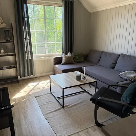 Central Apartment