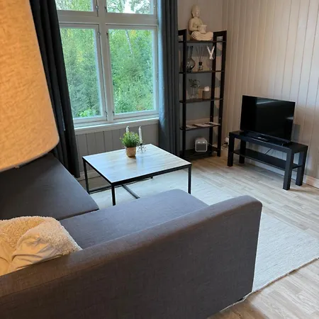 Central Apartment Нутодден