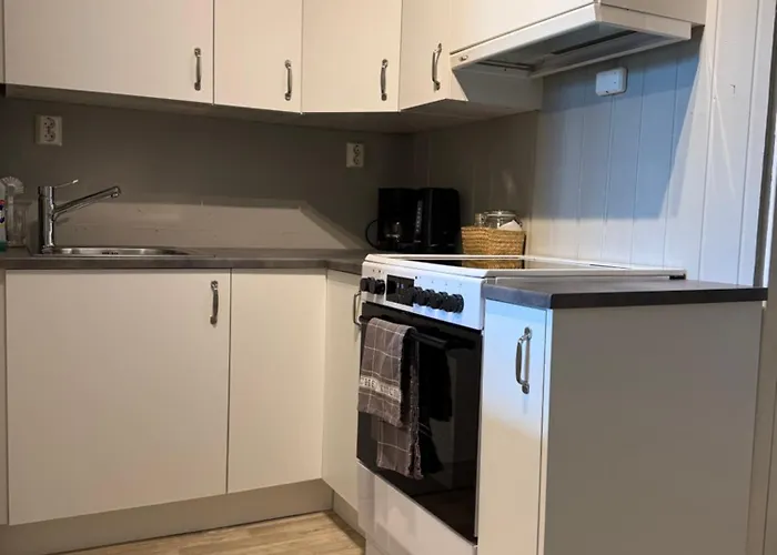 Appartamento Central Apartment Notodden