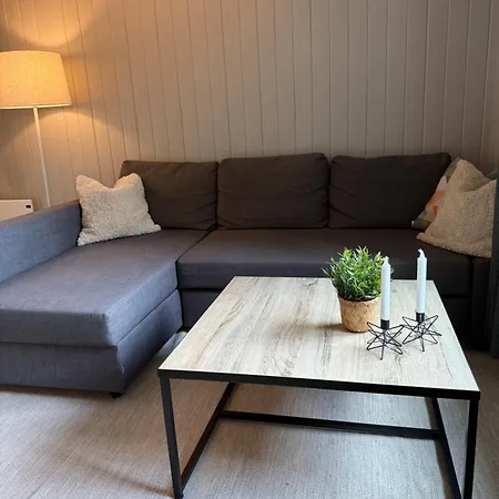 Central Apartment Apartment